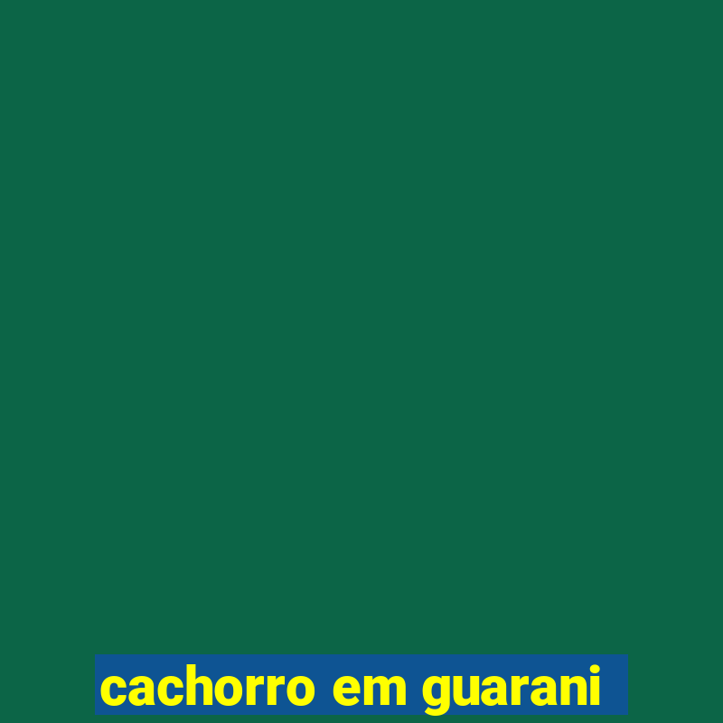 cachorro em guarani